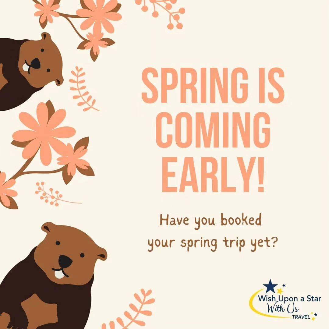 The groundhog did NOT see his shadow, are YOU ready for an early spring? #wishtips Request your #springbreak quote today! bit.ly/wishwithcrysta…
#traveladvisor #wishwithcrystal #takethetrip #makememories #contactmebeforeyoubook #howcanIhelp #letstravel #trustedtraveladvisor