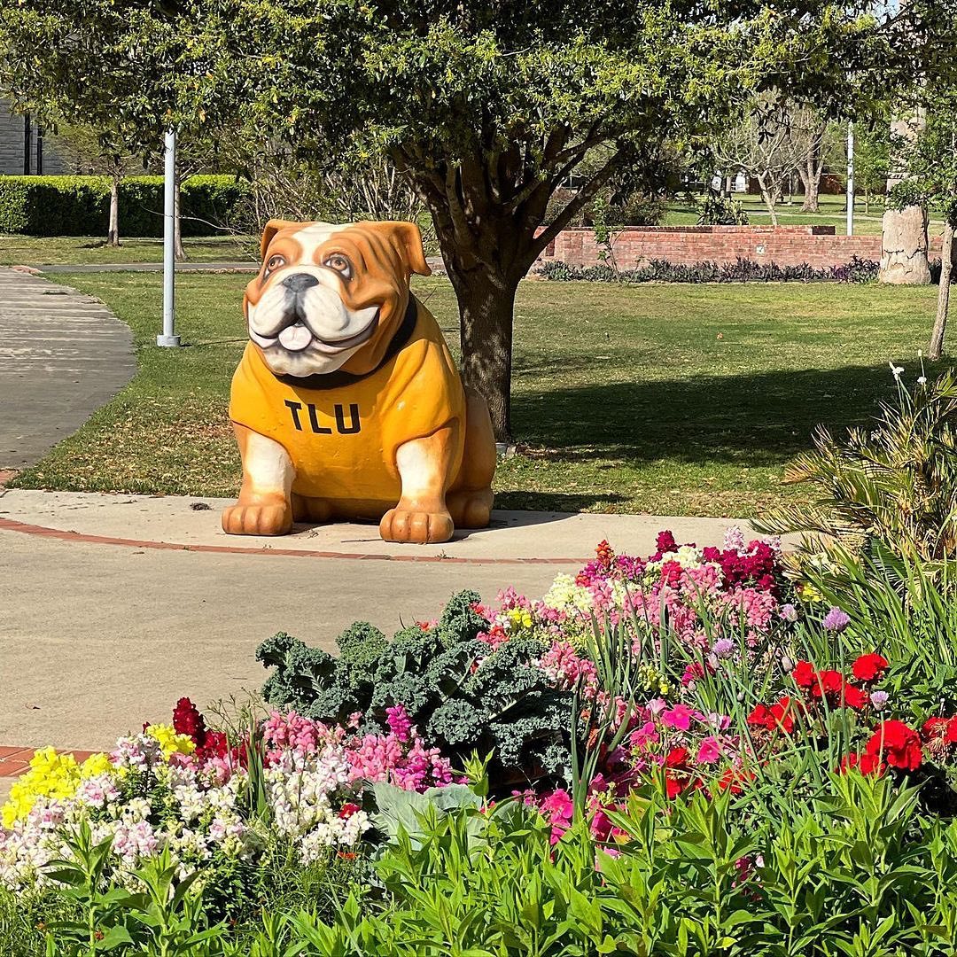 No shadow from the groundhog today! We are ready for an early spring, warm weather, and blooms! 🌼