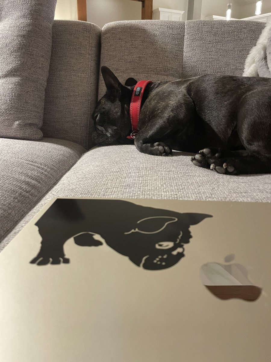 Work is exhausting #breaktime #frenchielover #frenchbulldog #puppy #dog #dogsoftwitter