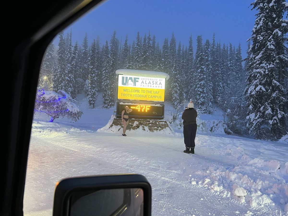 Sveta Stuefer tweet media