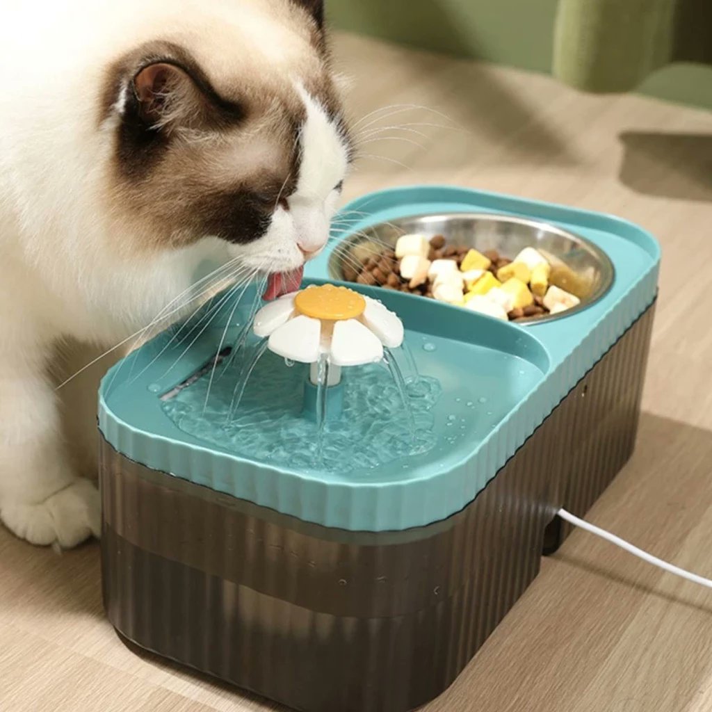 ㅤㅤ🌾 . . . Achadinhos para seu pet na SHOPEE ; a thread ( cães, gatos e hamsters )