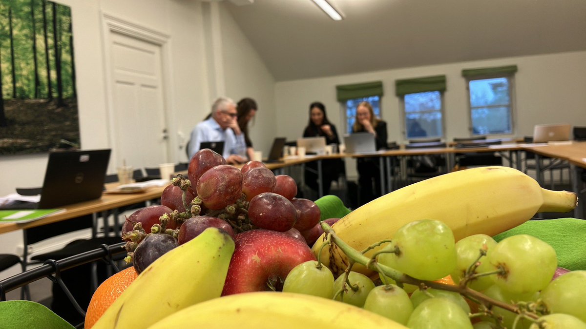 A fruitful workshop with researchers & policymakers on #learningresources in the context of national #minoritylanguages! Thank you Riksbankens Jubileumsfond for funding this project and @Stockholms_univ for letting us meet in #Gulavillan. #learningonlearning #resourcesonresources