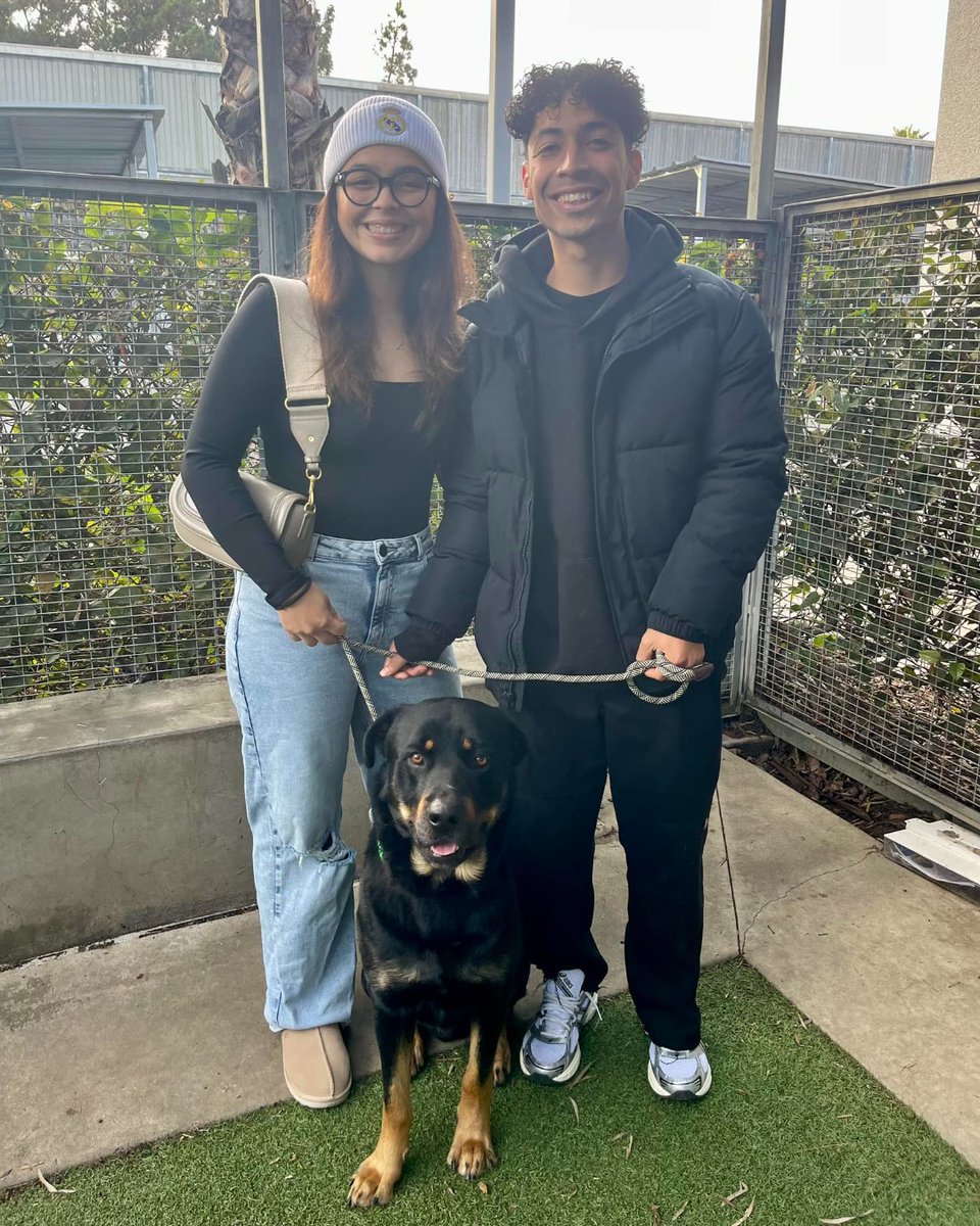LACityPets's tweet photo. Hercules, Sinatra, Benny, and this cat have all been adopted! #feelgoodfriday
Visit any of our six Centers this weekend to meet your new best friend. #lacitypets #HumaneLA #adopt #dogsofLA #catsofLA https://t.co/suqVo3dFd2