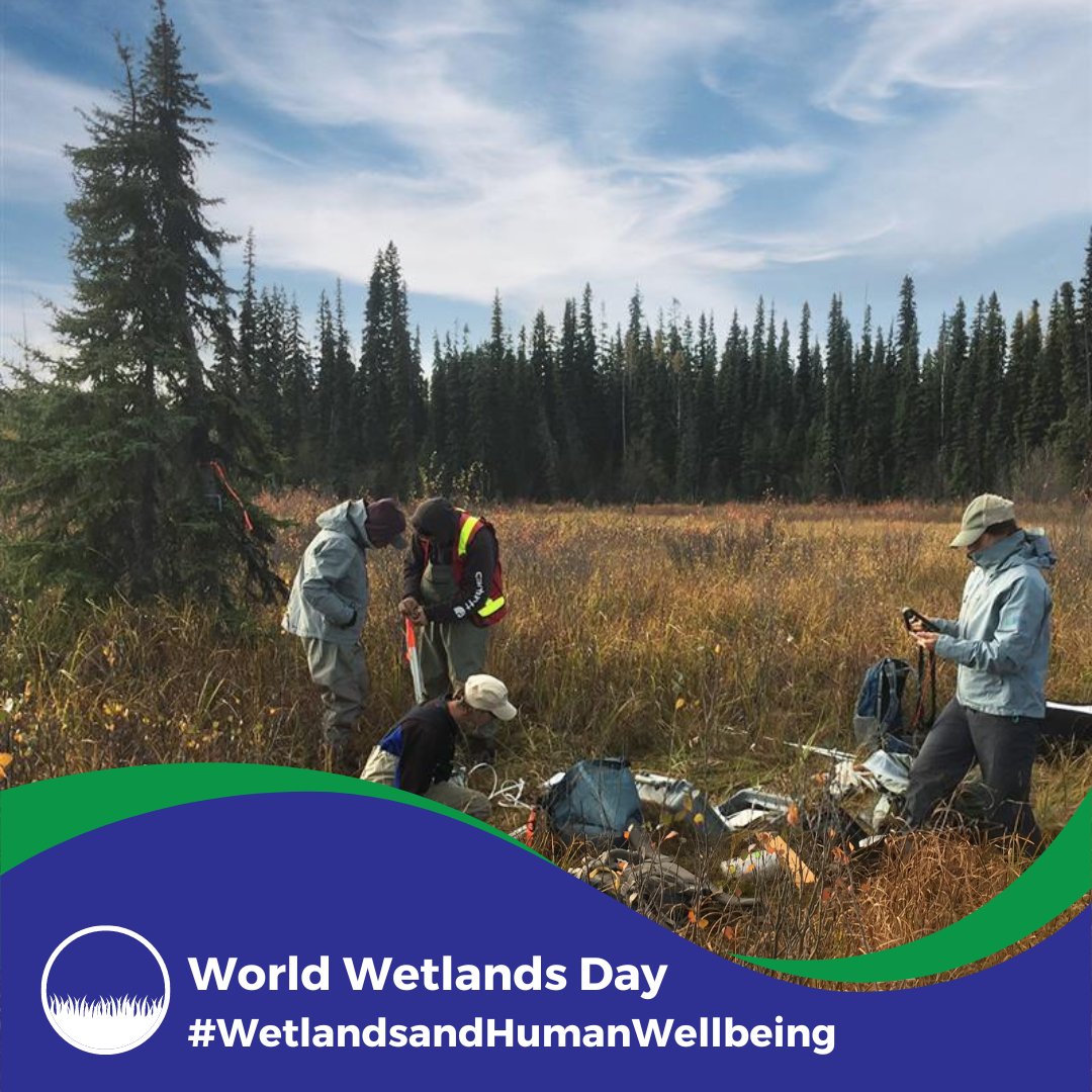 At Ecofish, we value the interconnection between the health of wetlands and human wellbeing. Join us as we celebrate #WorldWetlandsDay and the vital role that these productive and inspiring ecosystems play in maintaining healthy communities and a healthy planet.
#WaterandEcology