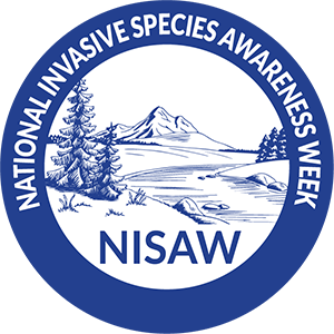 #NISAW2024 is coming up…look for FREE webinars all about #invasivespecies from Feb. 26-Mar. 1.

Details avail here:  nisaw.org/events/

#SCAPMS #invasiveplants #aquaticplantmanagement #aquaticIPM #weedscience #biocontrol #NISAW #invasivespecies