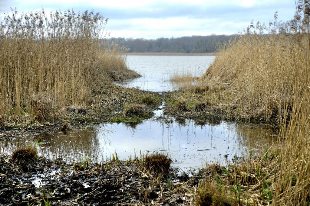 Franck LEROY tweet media