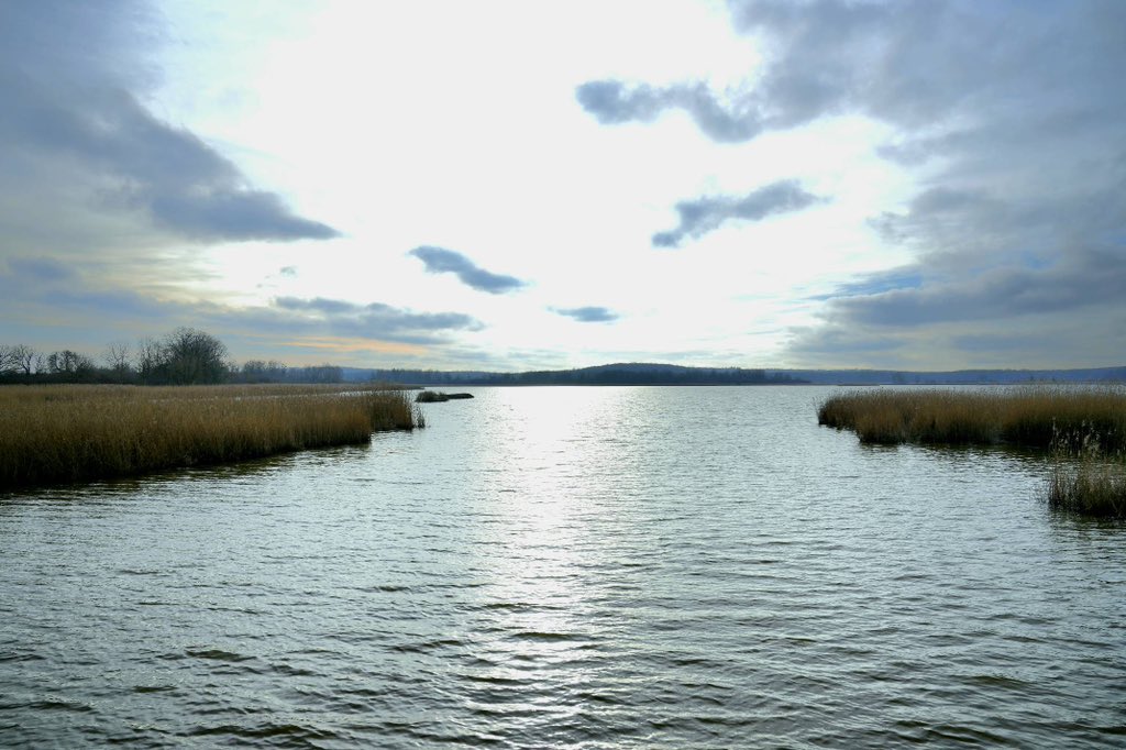 Franck LEROY tweet media