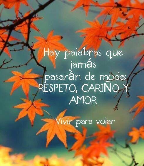 Motivosentuvida's tweet photo. Hay palabras que jamás pasarán de moda; RESPETO, CARIÑO Y AMOR. ❤️ https://t.co/76vSeEyttp