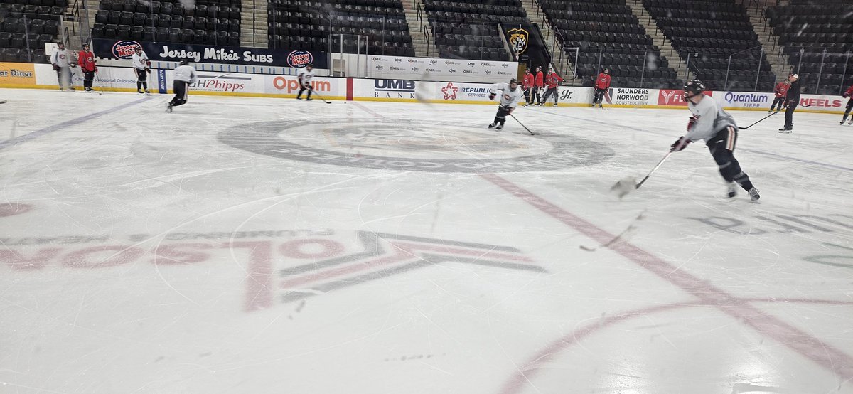 Shane Jensen tweet media