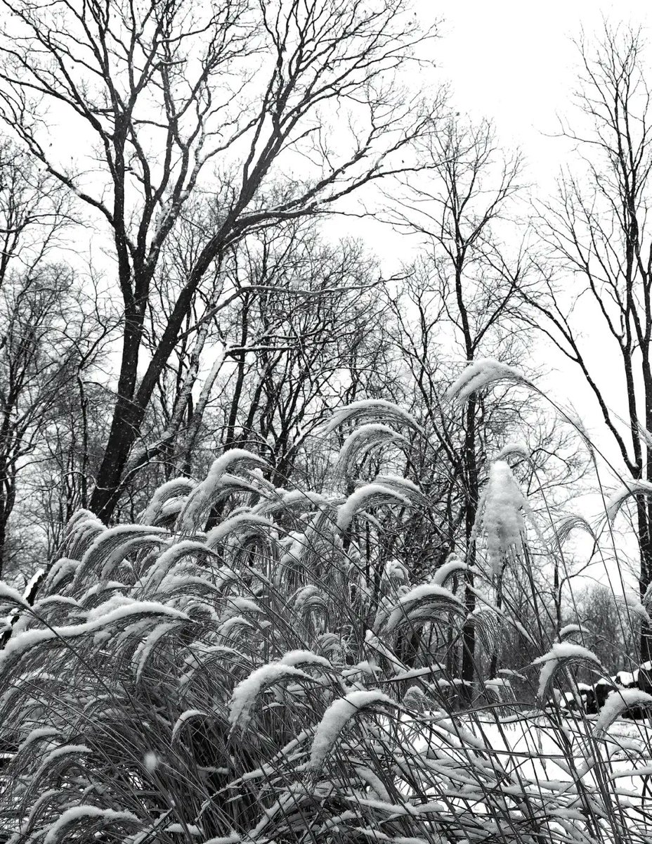 The latest edition of The East Village Magazine is available for download and viewing here:

eastvillagemagazine.org/2024/02/02/the…