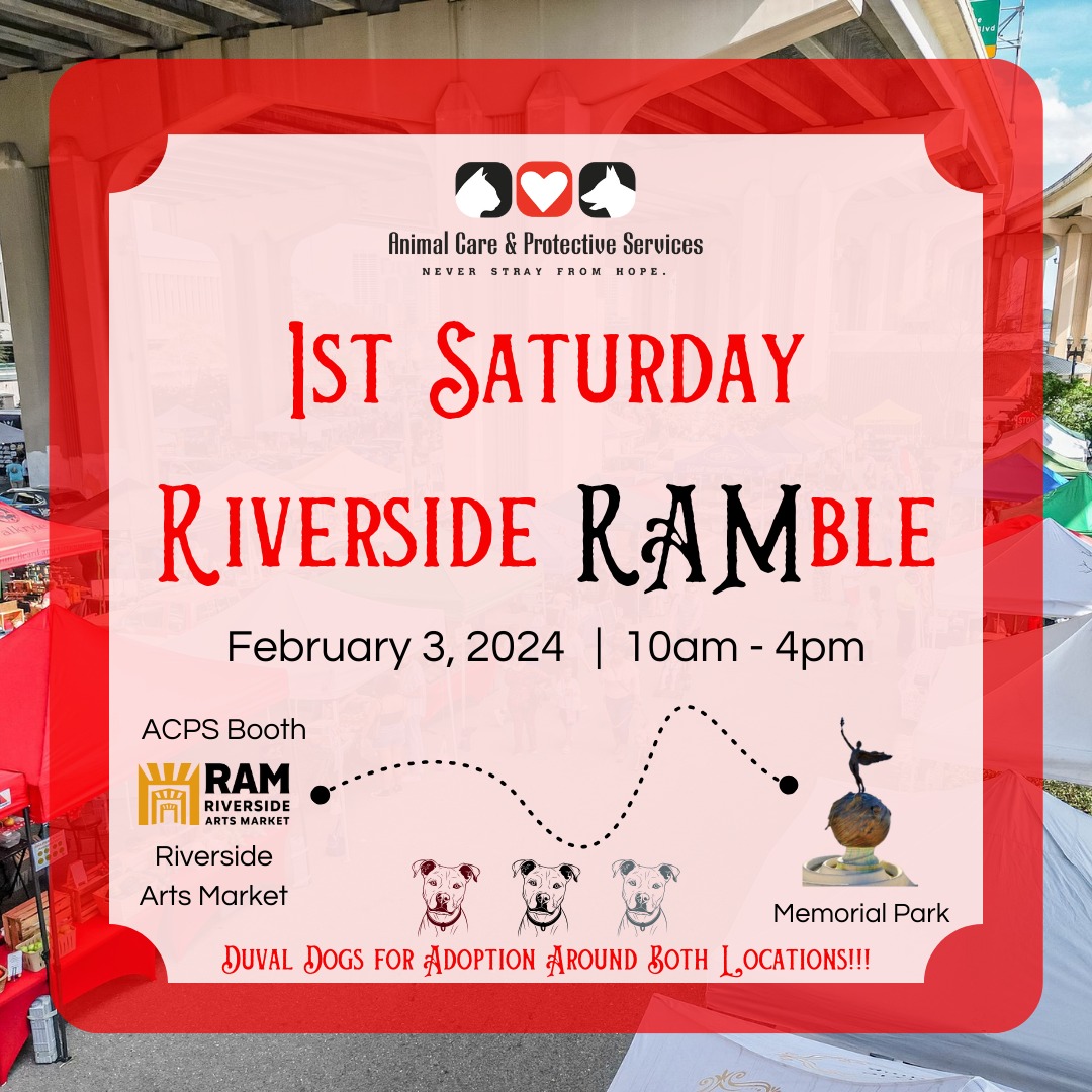 City of Jacksonville (@cityofjax) on Twitter photo Tomorrow is the first Saturday of the month 🐶 That means our <a href="/JaxACPS/">JaxAnimalCare</a> team will be at both <a href="/RAMJacksonville/">RiversideArtsMarket</a> and Memorial Park in Riverside with some amazing and lovable pets available for foster or adoption. Come visit them from 10am to 4pm and learn more about the shelter too! Tomorrow is the first Saturday of the month 🐶 That means our <a href="/JaxACPS/">JaxAnimalCare</a> team will be at both <a href="/RAMJacksonville/">RiversideArtsMarket</a> and Memorial Park in Riverside with some amazing and lovable pets available for foster or adoption. Come visit them from 10am to 4pm and learn more about the shelter too!