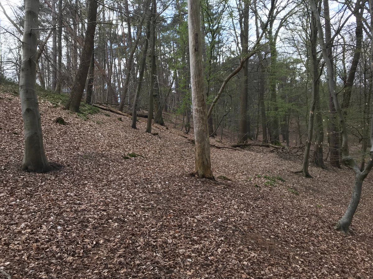 Come work with me! I'm hiring a PhD student to study ticks in Belgium as a feature of forest land systems. All details here: euraxess.ec.europa.eu/jobs/190997