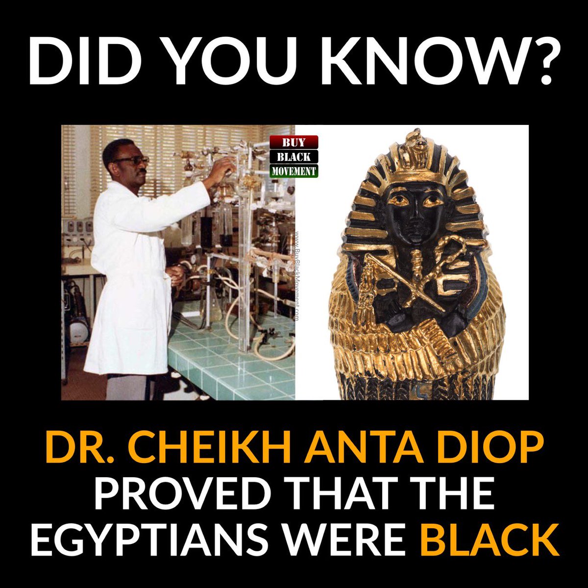 Did you know? Cheikh A. Diop was a great contributor to our modern exploration of African history. His work on melanin & ancient Egypt civilization is unparalleled, but his findings have been suppressed. Today, we’ll take a closer look! (Full post here: tinyurl.com/mryk2eba)