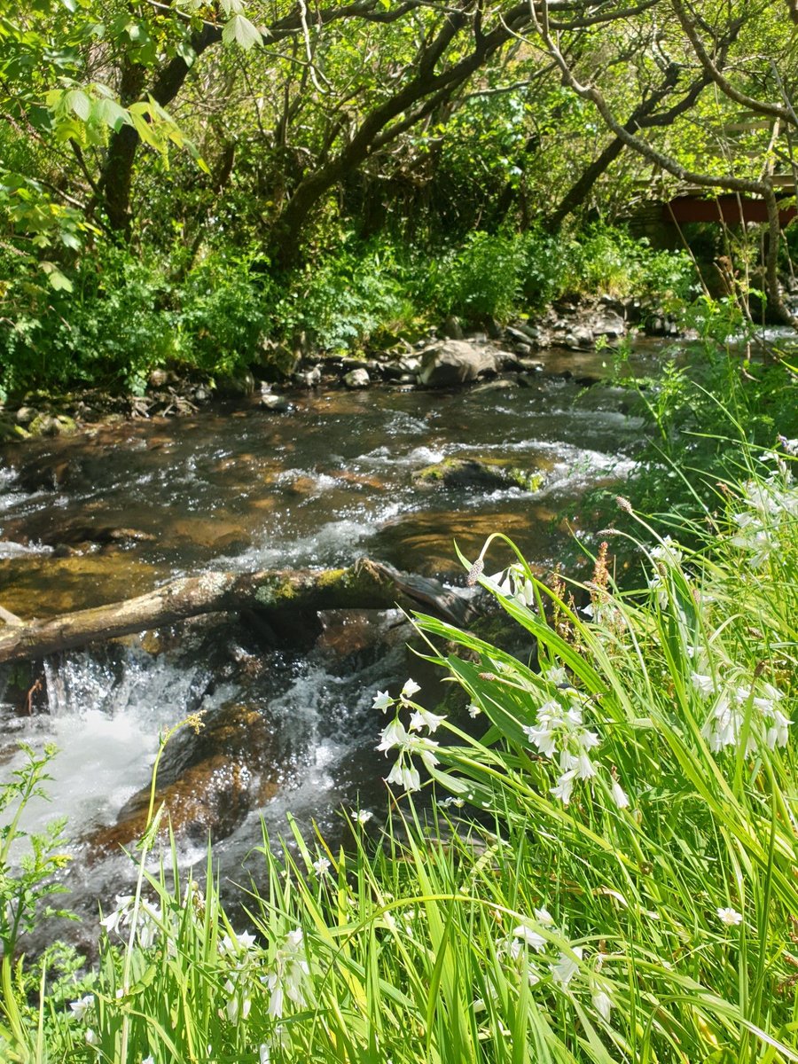 Time to check your inbox!!  We have late availability, ready to book holidays for you to enjoy some spring sunshine.

Rare opportunities to enjoy The West Highland Way, Wainwright's Coast to Coast, The Offa's Dyke Path or Hadrian's Wall. 
But you'll need to be quick...