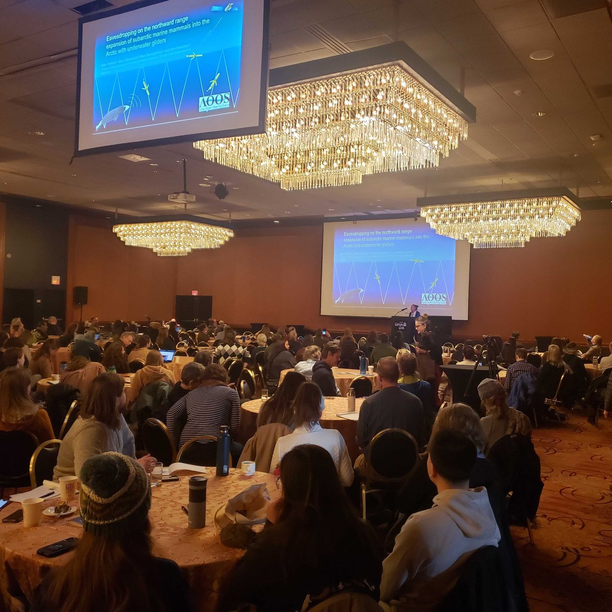 It’s been a busy week of conferences for GINA’s amazing employees! Owen and Carl can be seen chatting with curious attendees at the American Meteorological Society, and Hunter snapped some pictures at the Alaska Marine Science Symposium! #AMSS2024 #AMS2024