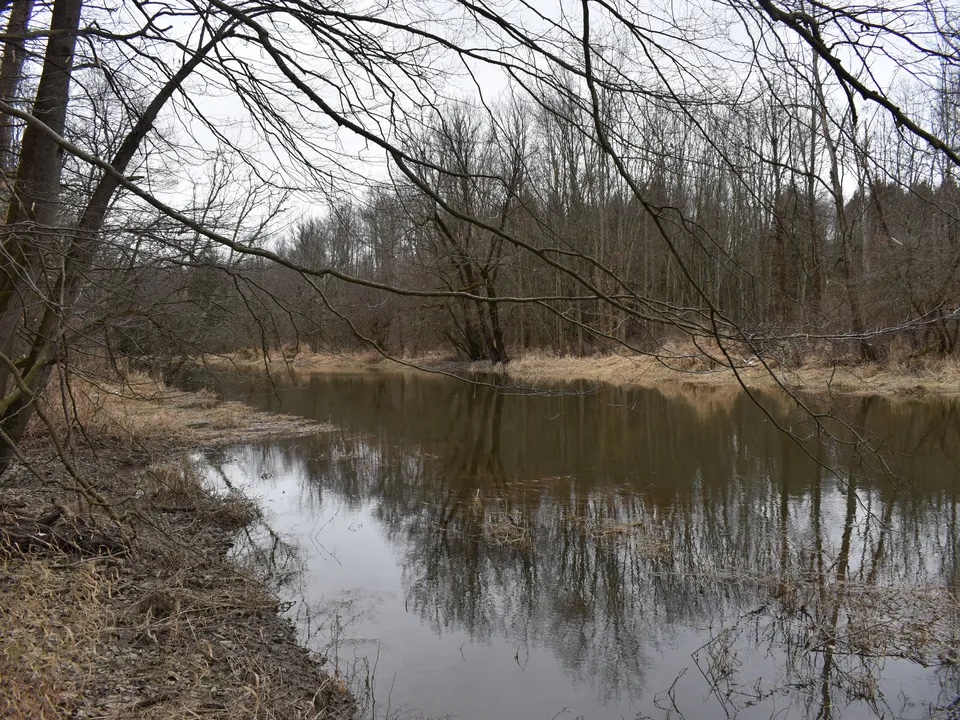 TimberlandReal1's tweet photo. New Listing! This fantastic recreational property consists of a combination of wooded and open land, food plots for deer and turkey, miles of hiking and ATV trails, 1.25 miles of direct frontage on Cassadaga Creek.  Contact Brian Bullard (716) 499-5608.
https://t.co/mVq2BPd94T https://t.co/o6urrU1fJ8