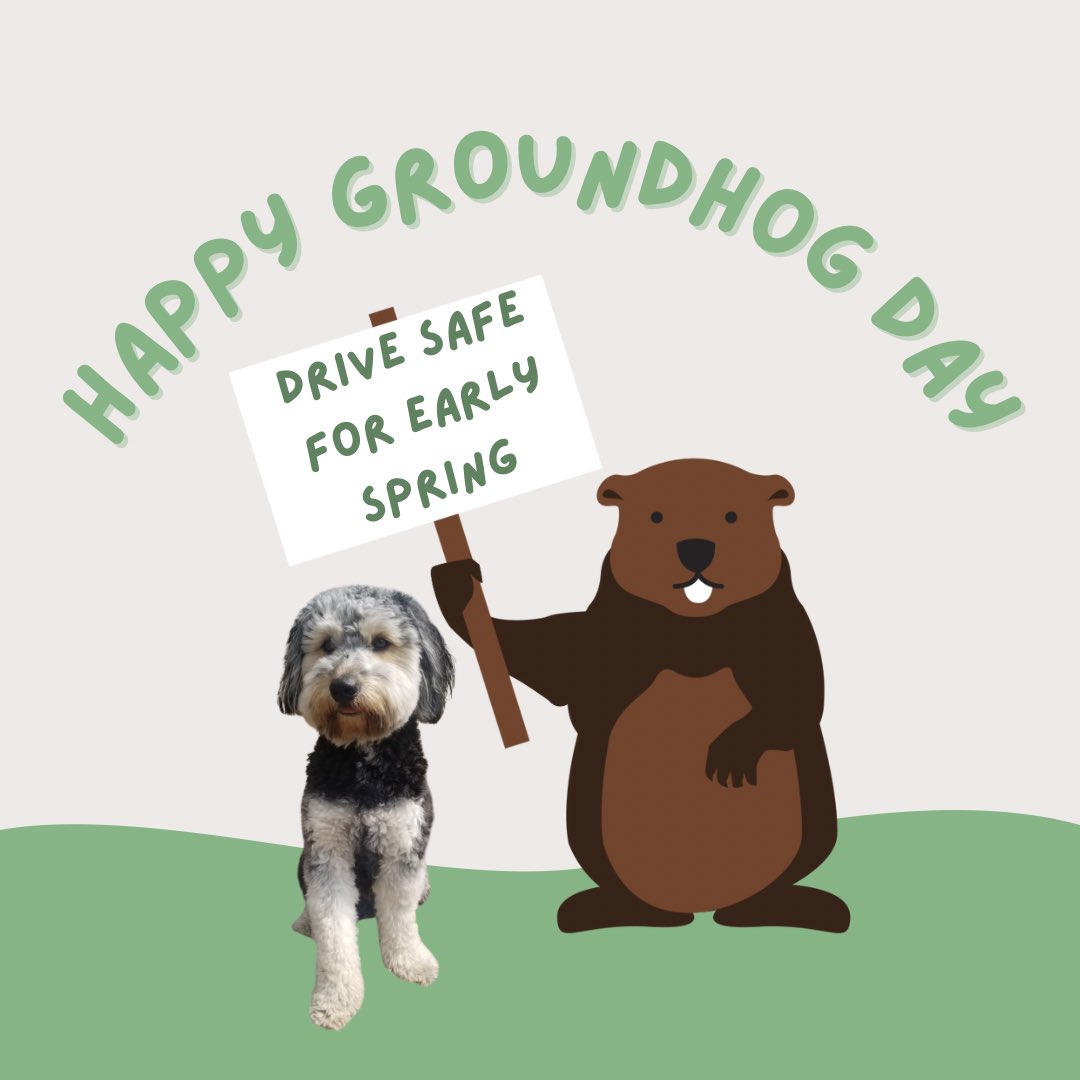 Gweedomemorial's tweet photo. Groundhog day! #groundhogday #drivesafe #teendrivers #JustDrive https://t.co/0qPf90mzeX