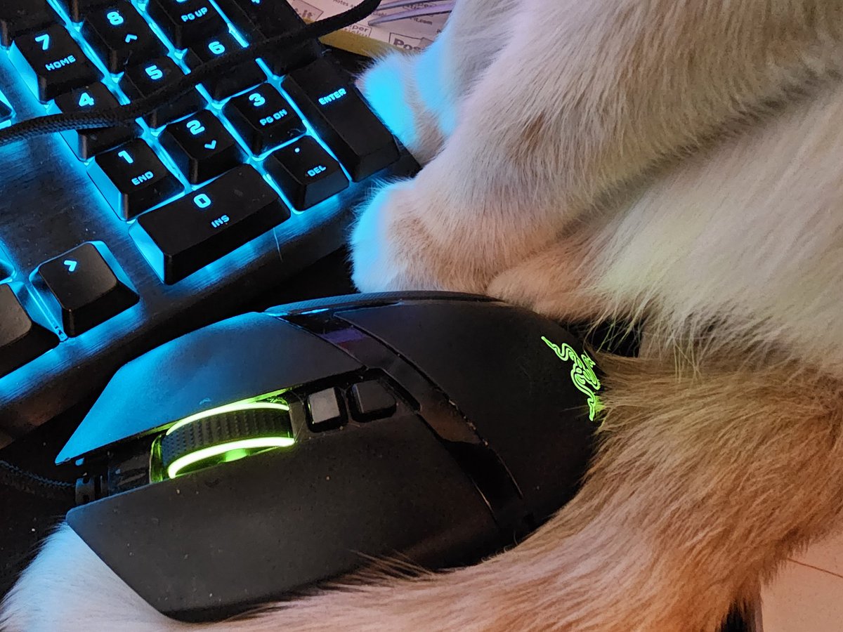 Enjoying mom's day off