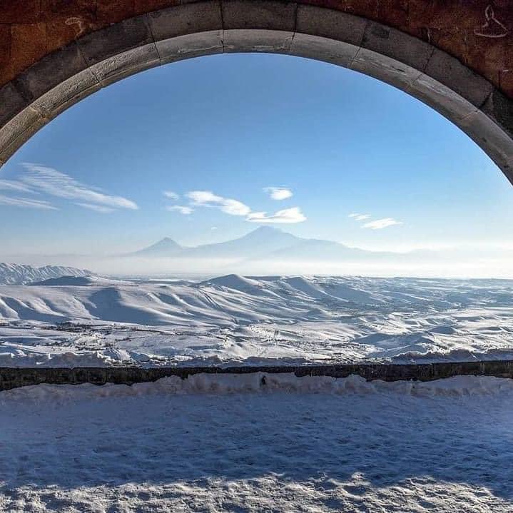 Liana Margaryan tweet media