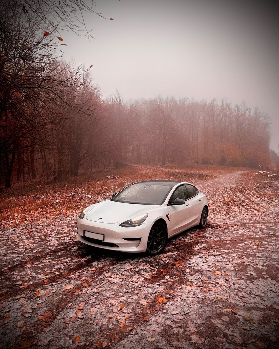 TeslaSlovakia's tweet photo. #TeslaSlovakia January Photo Contest Winners 🎉 Every month, our community can contribute to the photo contest and win featuring and #promo on our social media platforms
🪩 Congratulations! Which M3 do you like more?
Photo #1: @Matelko1986
Photo #2: @klarisa747
Are you interested in joining the #TeslaOwnersSlovakia club? Let js know.
