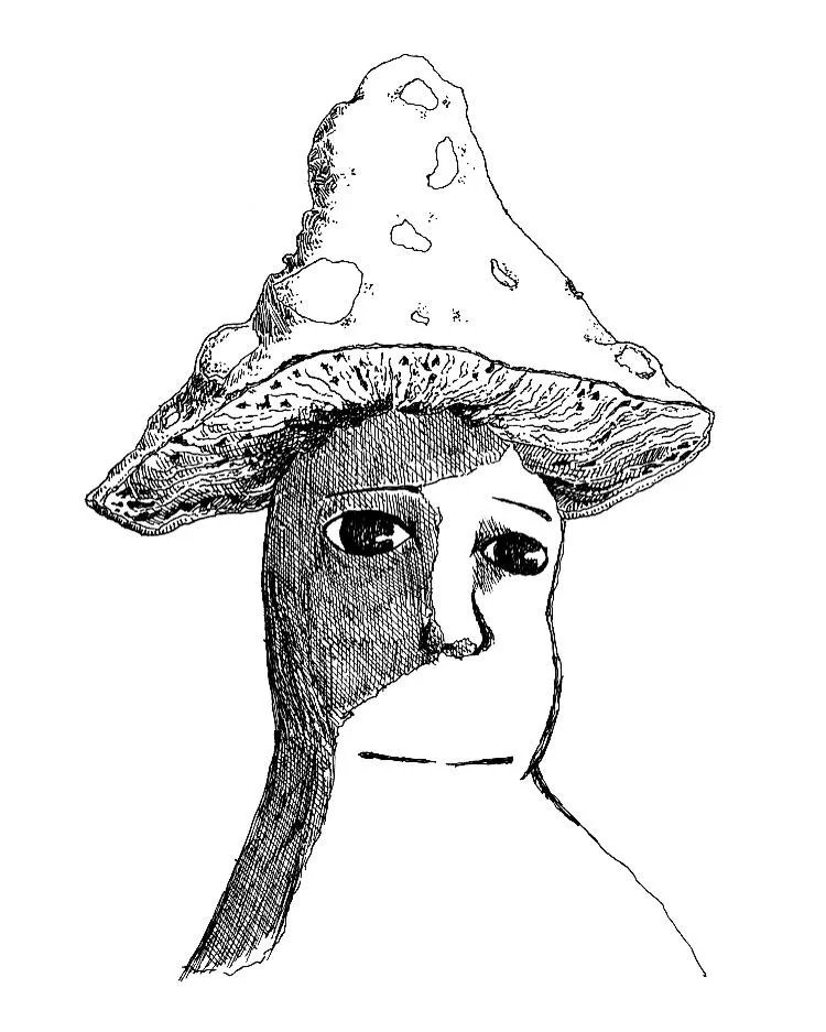 Spore___'s tweet photo. @junowo__ https://t.co/ej8f0I0YNZ