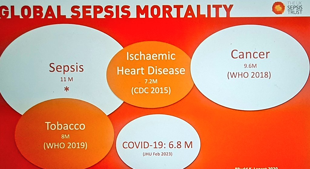 I attended the Safety for All Campaign - Sepsis Webinar, such a heartbreaking but powerful session. Thank you @amotherwithout for sharing your lived experience. #thinksepsis @SepsisUK @UKSepsisTrust @_SHBN_ @CathrineLund4 @NELFT @NELFTLetsEngage