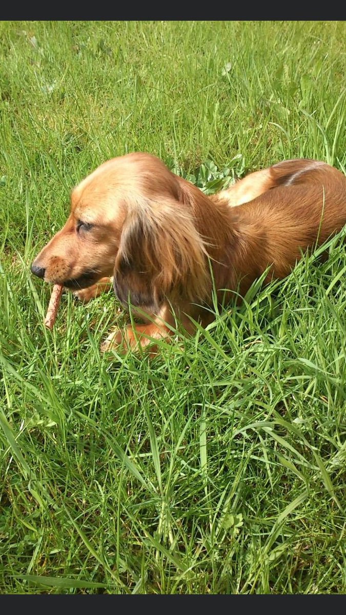 teenbruce's tweet photo. Sleep tight our little
Minnie moo 🌈💔 https://t.co/lkKM2jsdnd