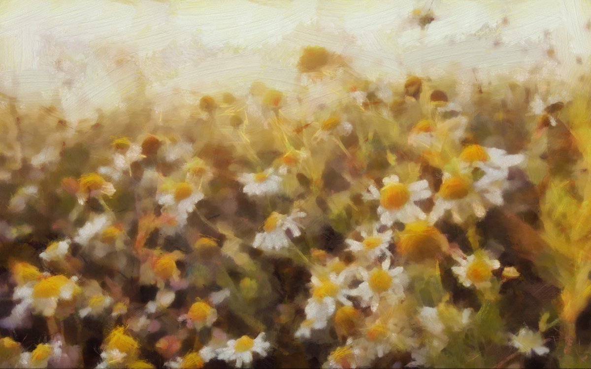 VADISC's tweet image. Ромашки.Масляная кисть, #ArtRage5 #art #paintings #stilllife #landscape #picture #картина #пейзаж #маслохолст #искусство #натюрморт #графическийпланшет instagram.com/p/BoXHMkLhk5y/…