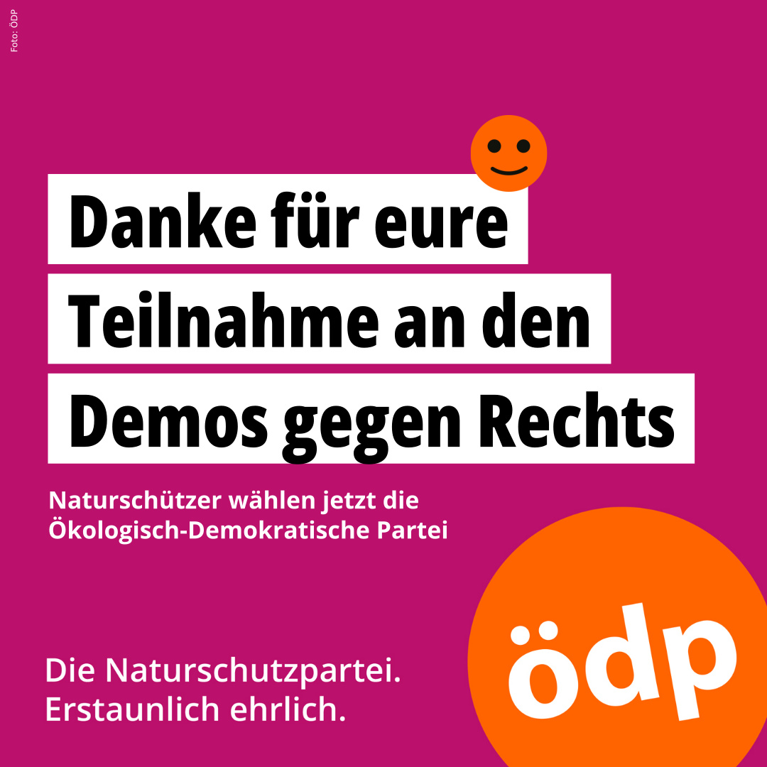 OedpBerlin's tweet photo. Am 3.2.24 ab 13:00 Uhr in Berlin auf der Bundestagswiese. Wir sind dabei bei der großen Demo des Aktionsbündnisses Hand in Hand @diebrandmauer gegen Rechtsextremismus und für gesellschaftlichen Zusammenhalt und #Demokratie! https://t.co/t7gfUoIUaC