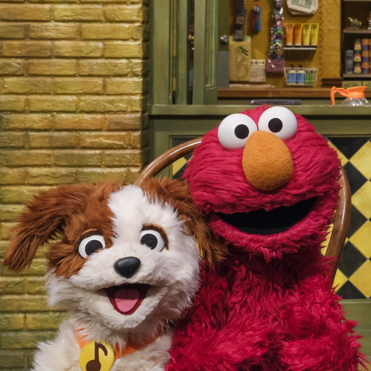 Elmo and Tango will give you one guess what tomorrow is! 😁🥳🎂 #FurryFriendsForever