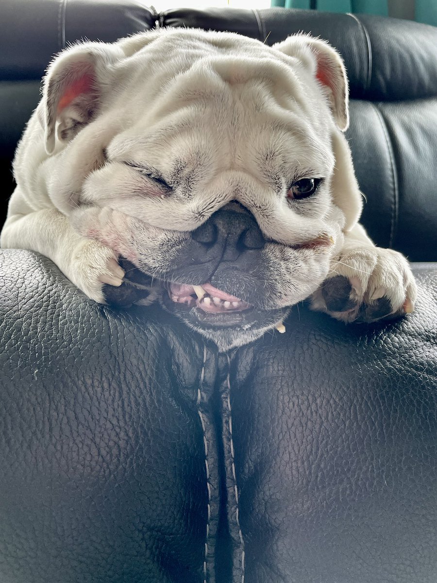 It’s #funnyfaceFriday this is mine 🤣🤣 let’s see yours now! Go!