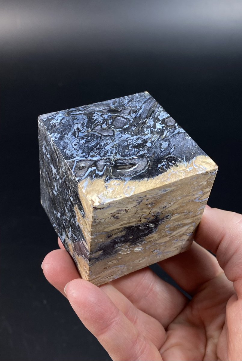 OldEarthMineral's tweet photo. Fossilized Palm Root Ball Polished Cube, Sumatra, Indonesia $55 plus shipping..
https://t.co/uNzh1Af8tX
https://t.co/ljENnt2yuo
#palmroot #fossilized #fossils #crystals #minerals #reiki #crystallove https://t.co/LyHjWheym7