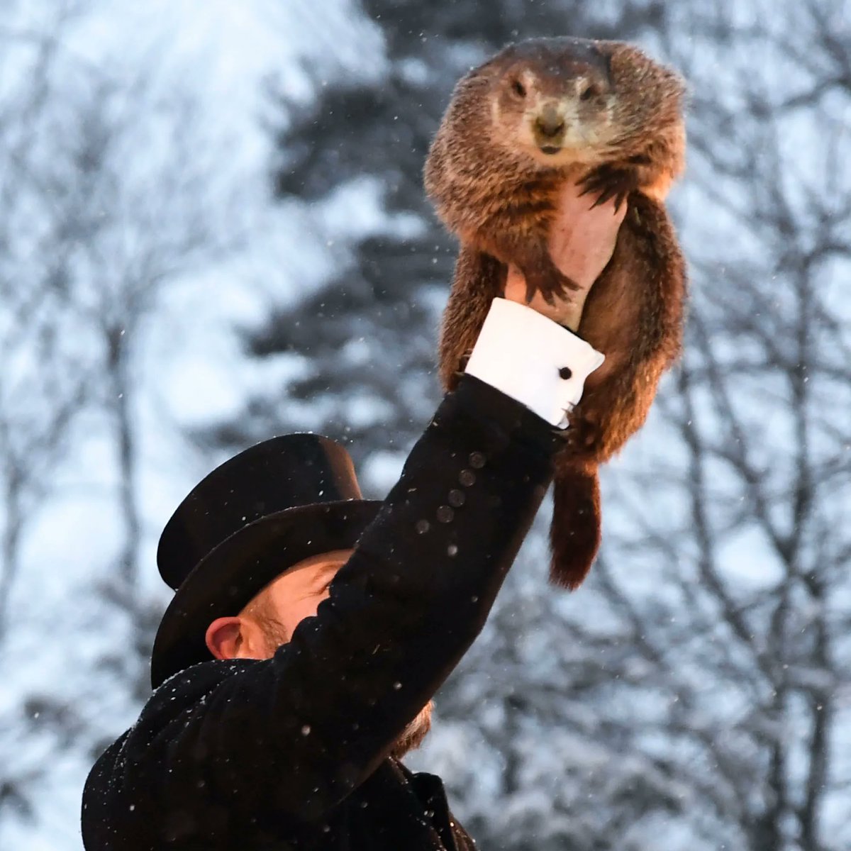 Happy Groundhog Day 2024!

"...But what this weather did not provide is a shadow or reason to hide. Glad tidings on this Groundhog Day, an early Spring- is on the way!!"

#PatriotTowers #Towerclimbers #structural #civilconstruction #spring2024 #getoutside #workflow