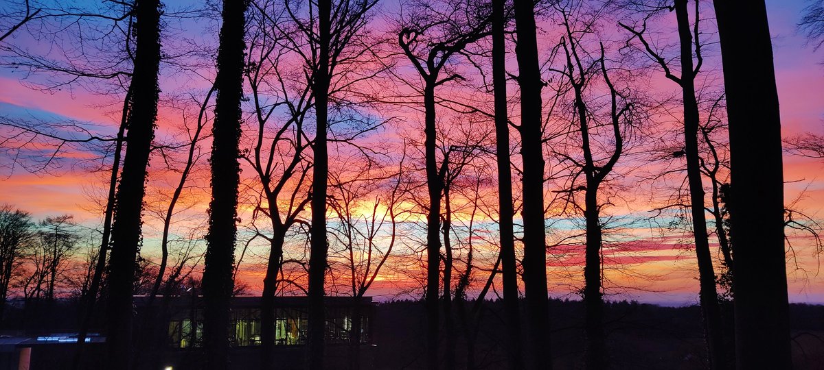 Idoia Quintana-Urzainqui tweet media