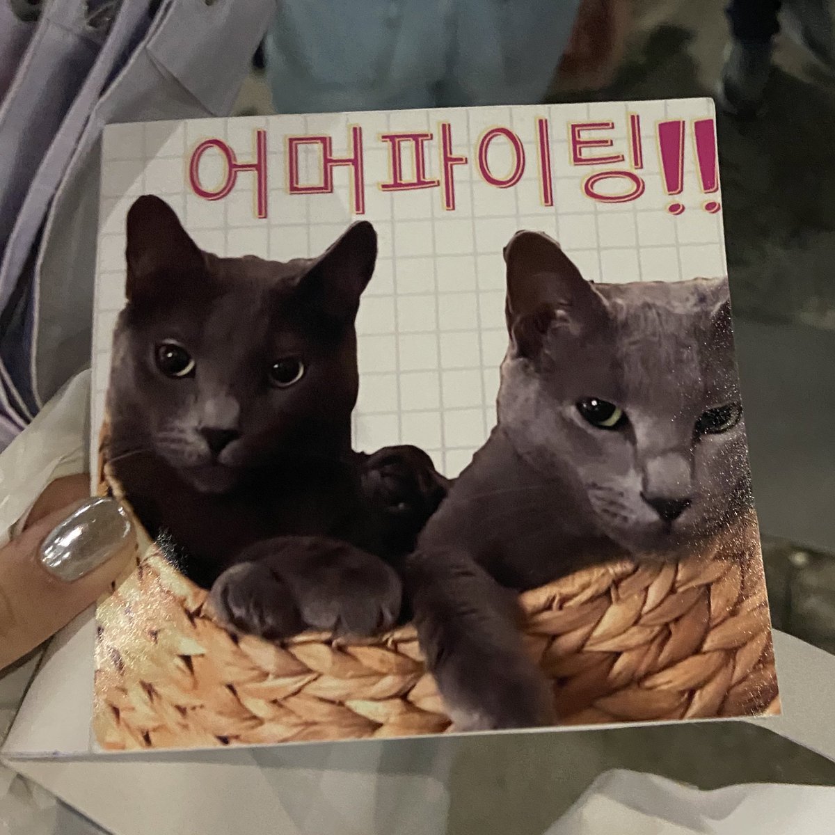 kamblinkkkie's tweet photo. เป็นเรื่องจริงนะที่เจ้าของจะจำสัตว์เลี้ยงตัวเองได้เสมอ ในรูปนี้ทักคนคิดว่าเป็นโพโดะกับตุ้ตุ้ แต่เค้ามองแล้วบอกว่าโปอิไม่ใช่โพโดะ ชี้ย้ำๆด้วยว่าเป็นโปอิกับตุ้ตุ้ แบบแงงน่ารักมากมึง มีมายืนสอนด้วยอ่าา ㅠㅠ

 #leesungkyung #이성경 https://t.co/znlFHXnC6B