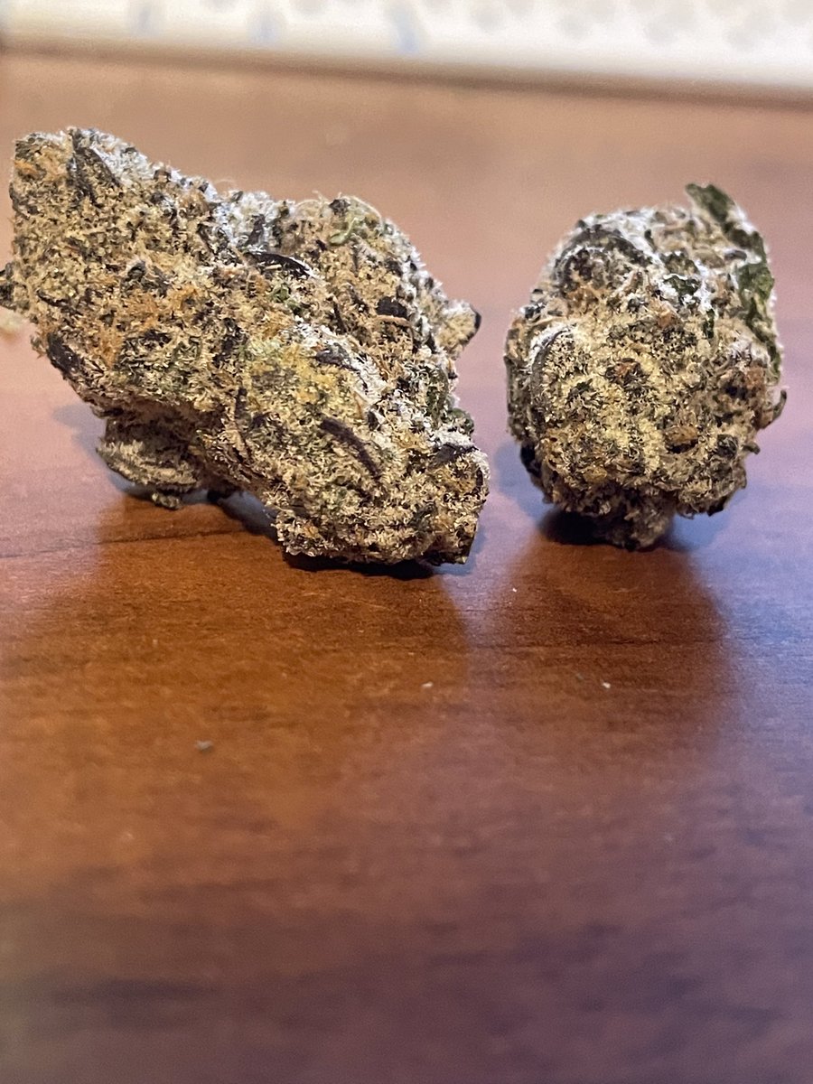 Joey CoCo Diaz tweet media