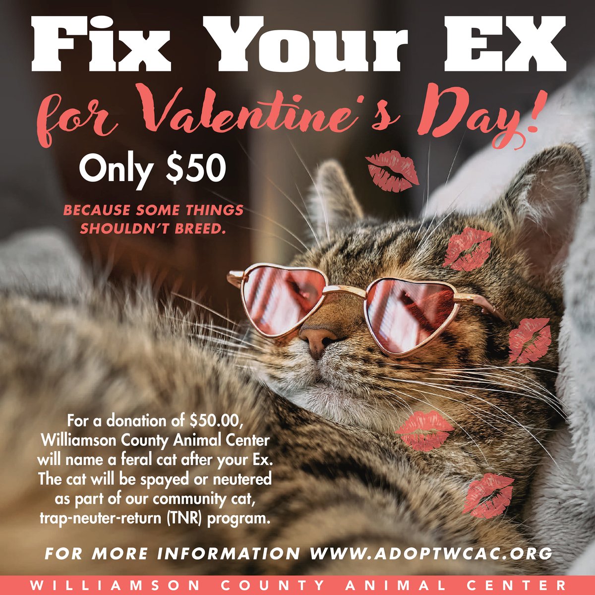 "Fix Your Ex" for Valentine's Day! For $50 donation @wcanimalcenter will name a feral cat after your ex and make sure they never leave their mark on the dating scene again by spaying or neutering them! Proceeds benefit food for kitten season. More info: adoptwcac.org