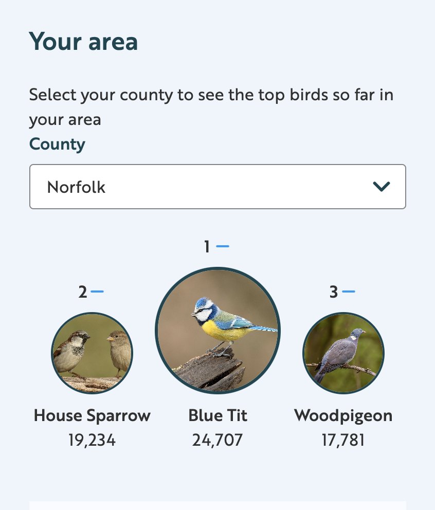 NectonPrimary's tweet image. We are all ready to take part in @RSPB_Learning @Natures_Voice Big Garden Birdwatch next week!  Will our results match those for the rest of @NorfolkCC ? @EDP24 @BreckCouncil @online_BOC Last year we had sightings of Buzzards, Kites and Crows  amongst other 🐦‍⬛🐦🦅🦆🦉🦜🦤🪹