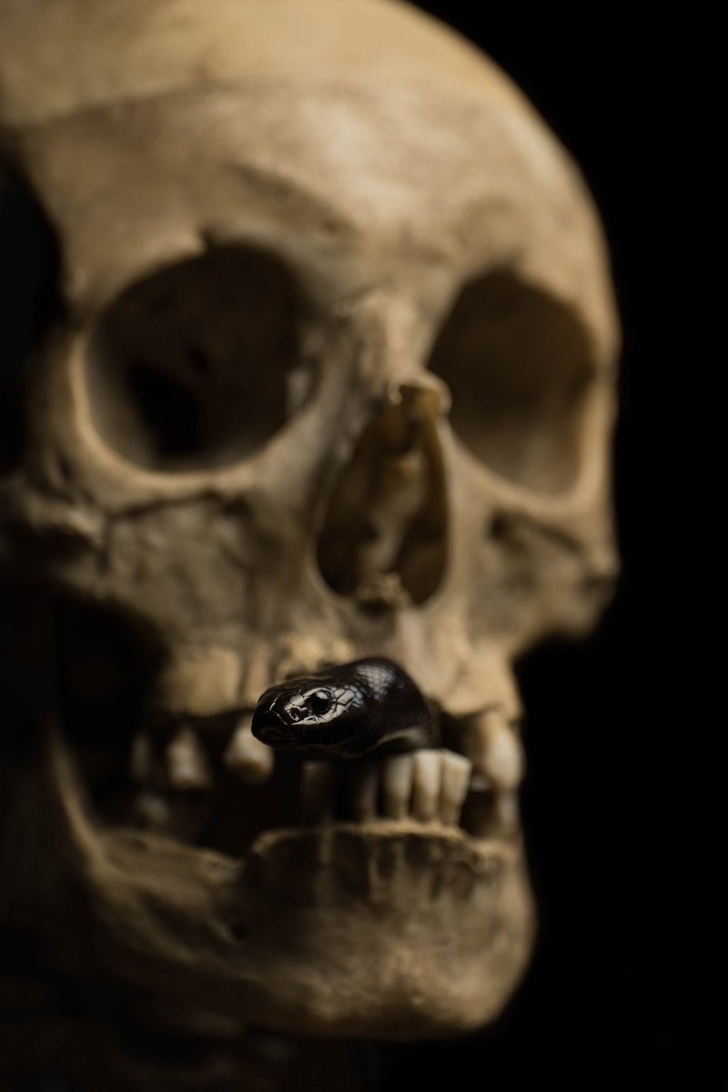 Jordan Cadiot tweet media