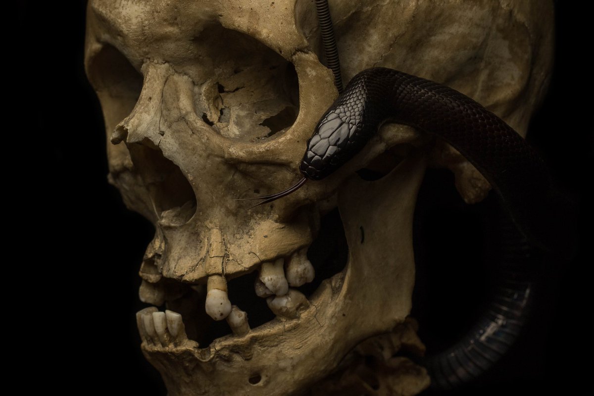 Jordan Cadiot tweet media