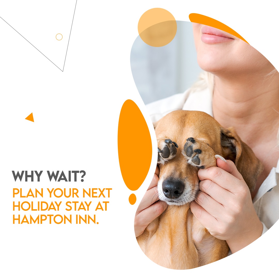 Hampton Inn Jackson Flowood, MS (@hamptonflowood) / Posts / X