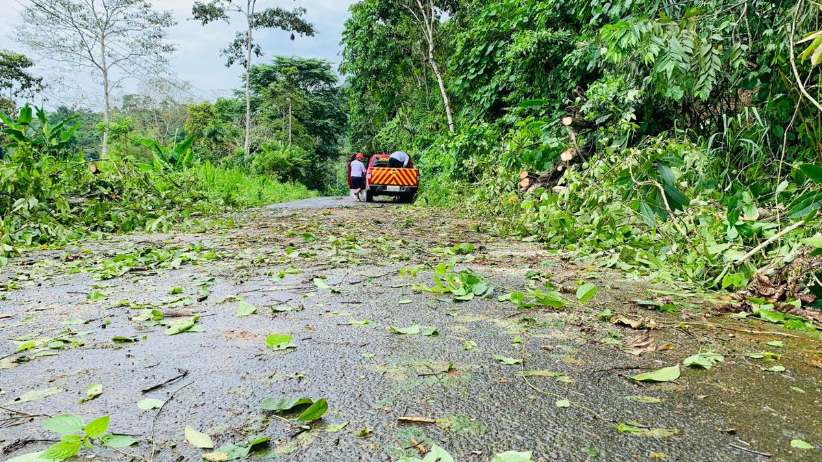 BomberosChone's tweet photo. Despejada la vía Cucuy - Eloy Alfaro 

Producto de las últimas precipitaciones, árboles cayeron obstaculizando el paso en la vía Cucuy - Eloy Alfaro, un equipo del Cuerpo de Bomberos de Chone, acudió ante este llamado dejando expedita la vía. https://t.co/0xkOcf1h8b