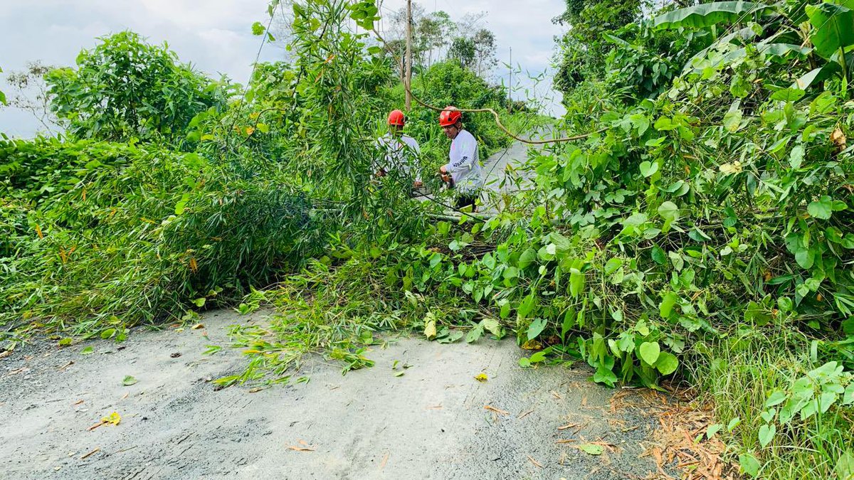 BomberosChone's tweet photo. Despejada la vía Cucuy - Eloy Alfaro 

Producto de las últimas precipitaciones, árboles cayeron obstaculizando el paso en la vía Cucuy - Eloy Alfaro, un equipo del Cuerpo de Bomberos de Chone, acudió ante este llamado dejando expedita la vía. https://t.co/0xkOcf1h8b