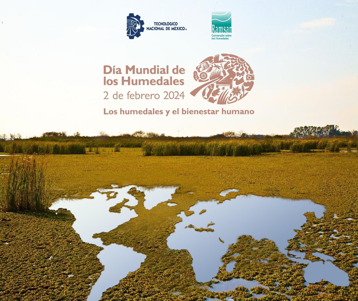 Los humedales son esenciales para la vida humana. Estos ecosistemas proporcionan servicios vitales que sustentan nuestro bienestar, como filtrar el agua, suministrar alimentos, apoyar la biodiversidad, mitigar el cambio climático, ofrecer medios de vida e inspirar ricas culturas.