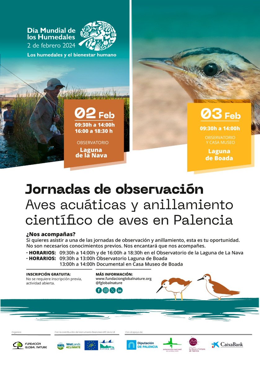 lagunadelanava's tweet photo. Mañana #DiaMundialDeLosHumedales en la #laguna de Boada de Campos. @FGlobalNature . #lagunadelanava #Cyl #Palencia #redea #graciashumedales #equipedam https://t.co/9cCwBgkYU7