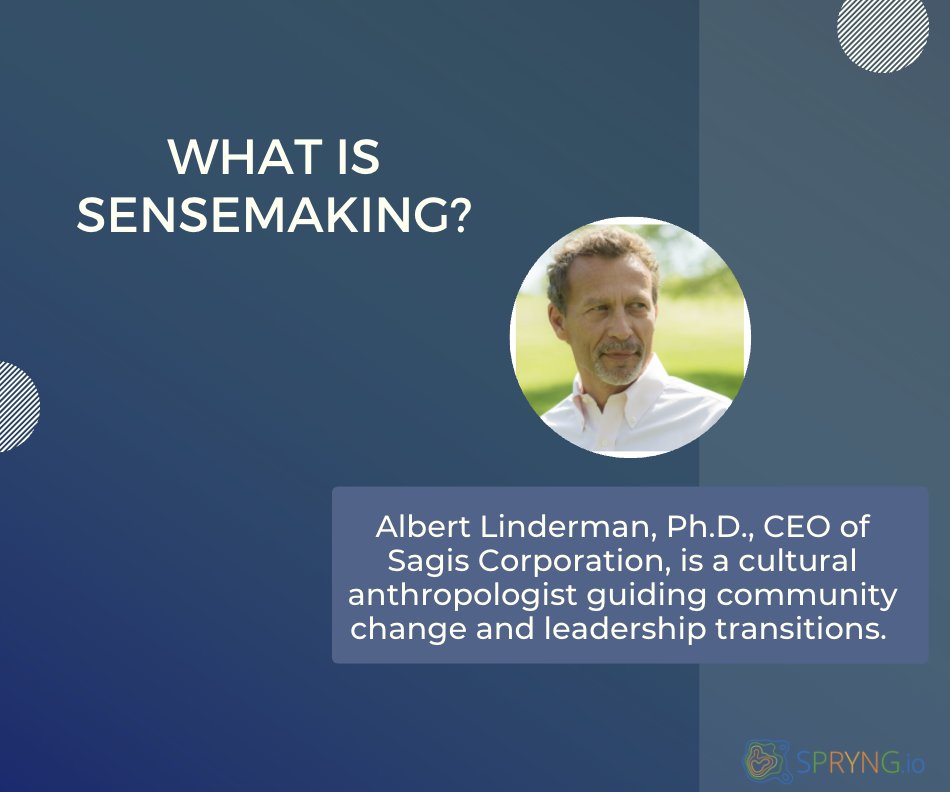 Spryngio tweet media