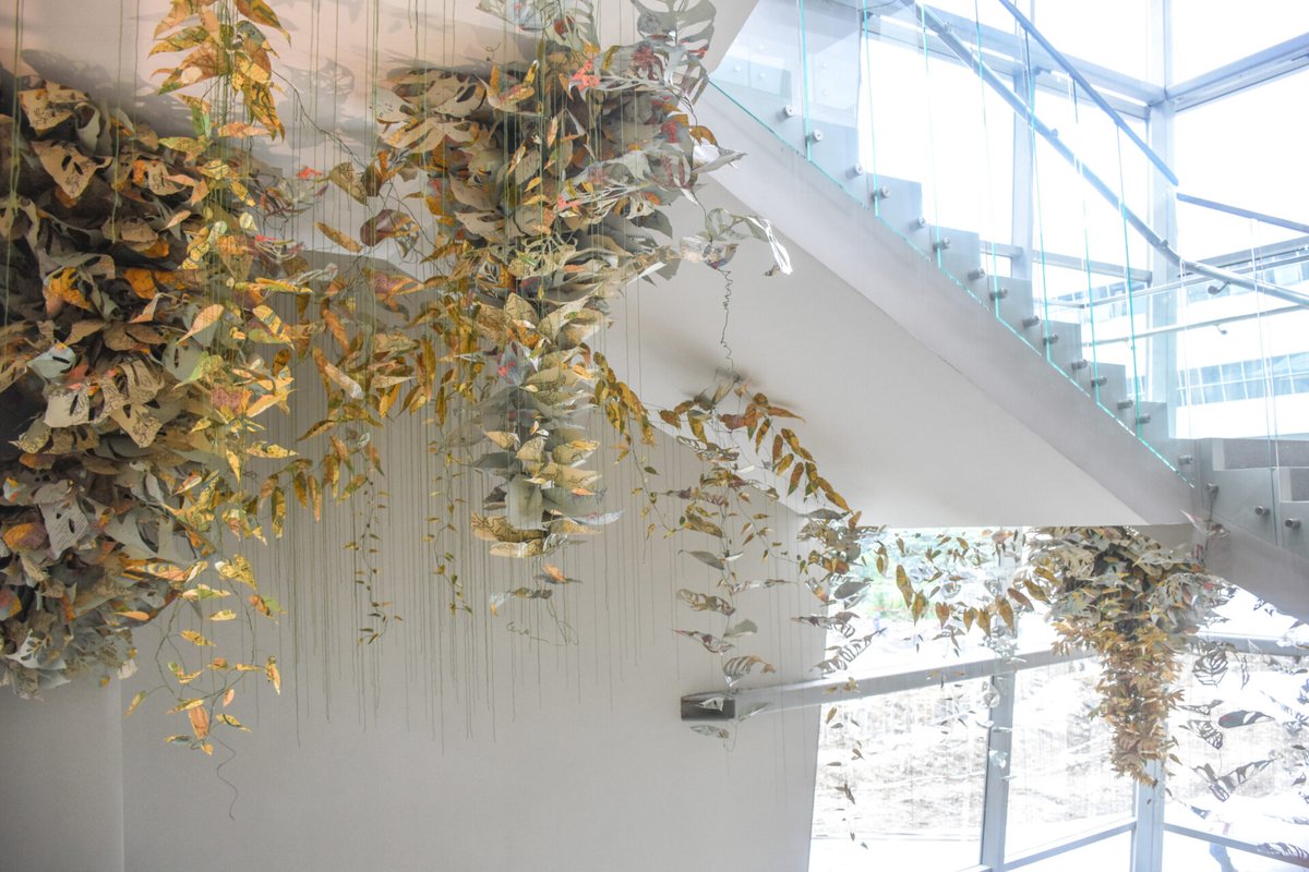 aDisenoMX's tweet image. Locus Amoenus, Ryan Villamael, es un follaje delicadamente elaborado que se arrastra por el techo. Una mirada más cercana a las hojas hechas a mano revelará que la instalación está compuesta por réplicas de mapas geográficos de Filipinas.

#design #diseño #papercut #art