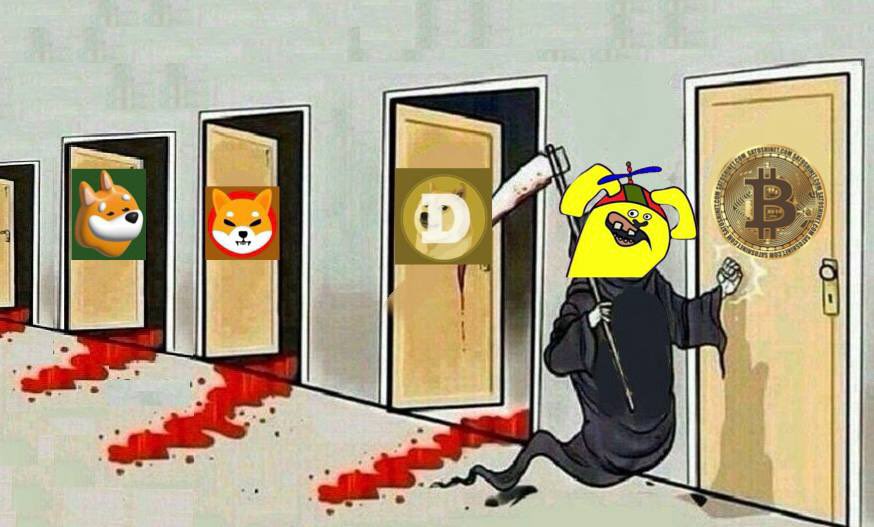 $BEPE Baby PEPE tweet media