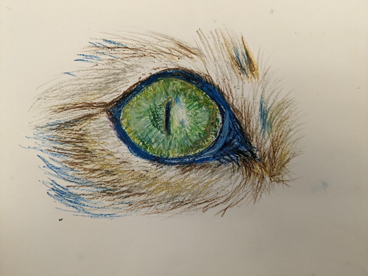 Sylvester1silly's tweet image. How is everyone doing? ✨I hope you all are having a a wonderful week!✨ I'm so sorry again, I keep saying I will try my best to post anytime I'm free but I've been busy 😔Here is something I did during free period with @Shellz_y 

#art #cateye #drawing #oilpastel