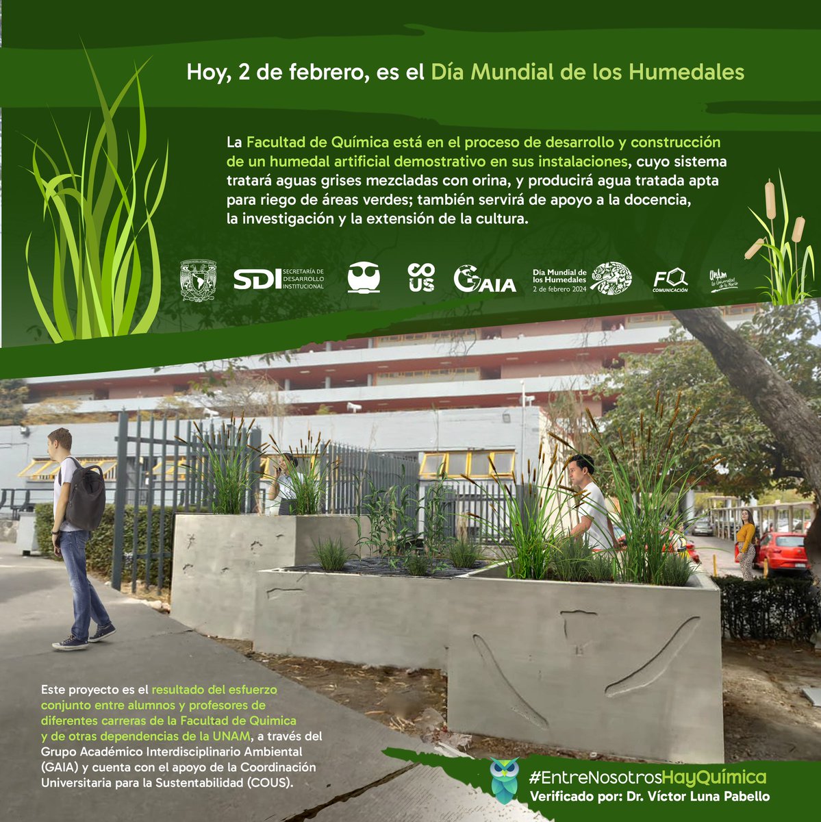 quimica_unam's tweet photo. ¿Sabías que en la FQ está en proceso de desarrollo y construcción un humedal artificial?
Hoy, Día Mundial de los Humedales, te invitamos a conocer este proyecto 🌱.
#humedales #SomosFQ #EntreNosotrosHayQuímica #humedalartificial🌿 https://t.co/kaDC3ifkCW